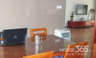 免费接吻室,免费接吻室的甜蜜诱惑之旅