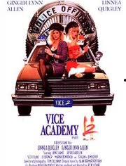 金牌女警3,智勇双全，再战江湖