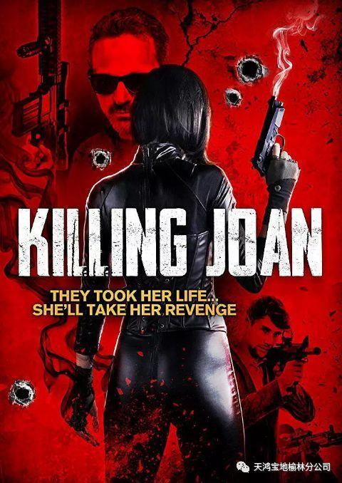 杀死琼,揭开背后真相的惊心动魄调查